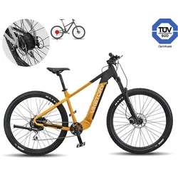 ROKTAR E-Bike MTB Orange/Schwarz
