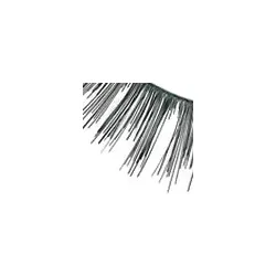 Wimpern