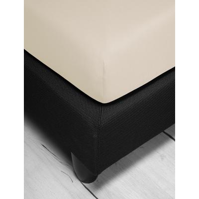 Spannbettlaken IRISETTE "Jupiter 8", beige (natur), L:200cm, Mako-Jersey, Obermaterial: 100% Baumwolle, Bettlaken, Spannbettlaken, aus Baumwolle, für Matratzen bis 25 cm Höhe, Bettlaken, Spannbetttuch