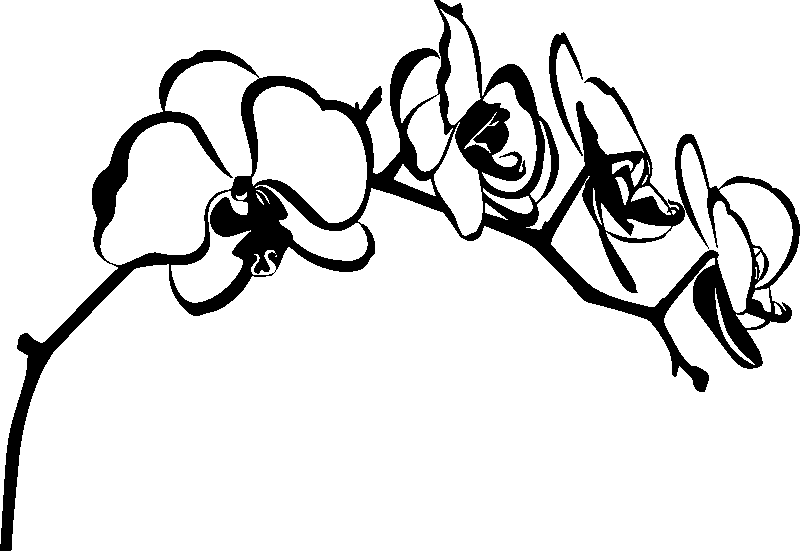 Ambiance-sticker Sticker Orchidées d'Asie