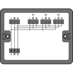 Wago 899-631/476-000 Verteilerbox,Wechselstrom (230 V),1 Eingang,schwarz 899631476000