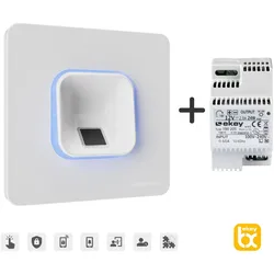 ekey xLine Fingerprintset für Unterputzmontage, Kunststoffrahmen in Weiß inkl. Netzteil - AKTION so lange Vorrat reicht, Zwischenverkauf vorbehalten - weiß