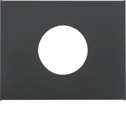 Berker 11657006 Zentralst. f Druck-Ta u Lichts K.1 anth