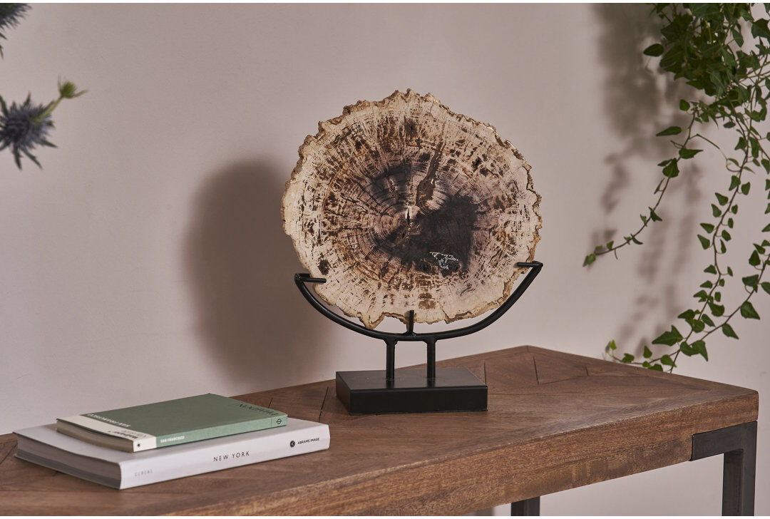 Union Rustic Petrified Wood Chopping Board Décor Varied Blacks, greys , whites 30cm H X 20cm W X 8cm D