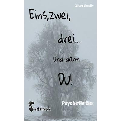 Eins, zwei, drei....und dann Du!, Taschenbuch von Oliver Grudke, Feiyr, 978-3-689-95075-0