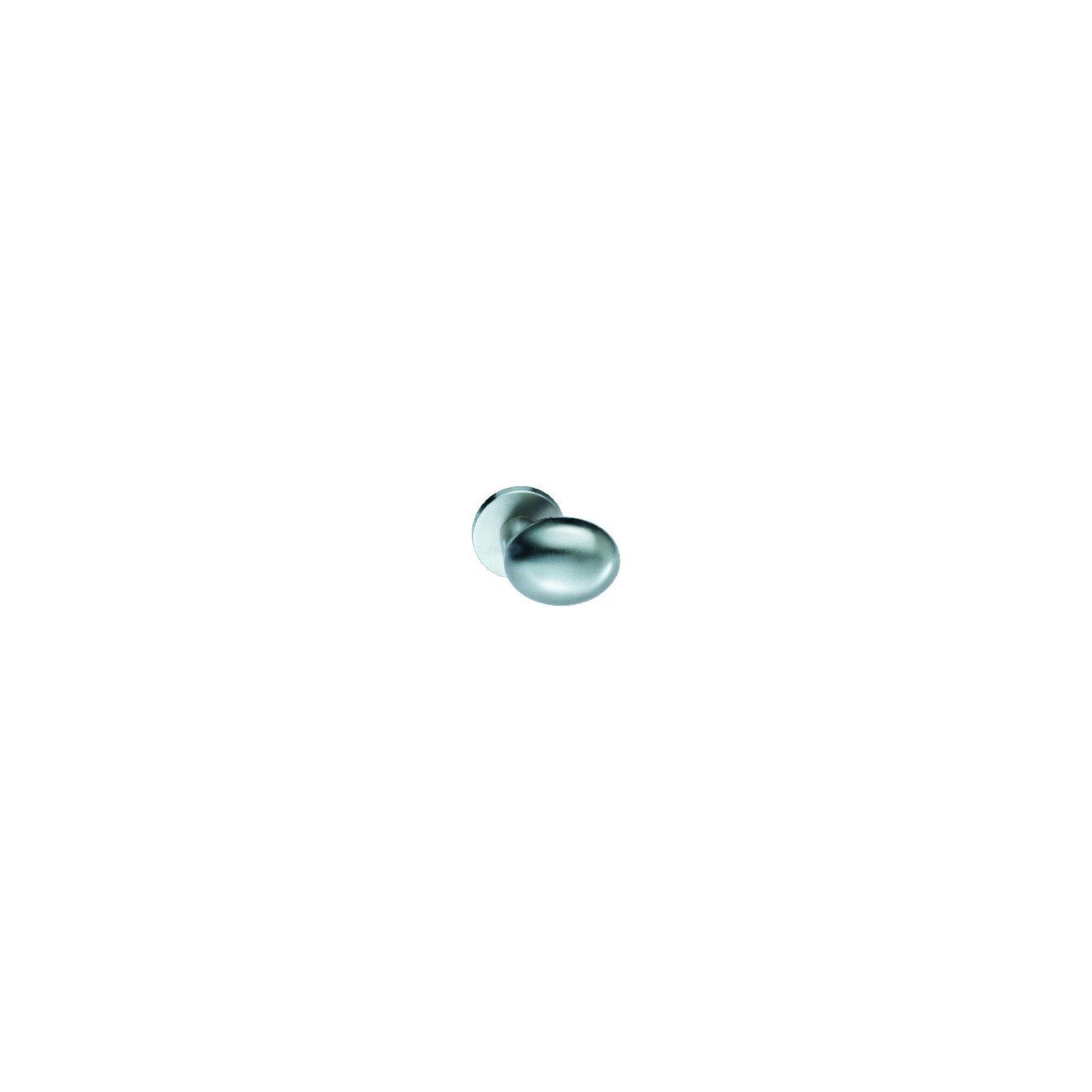 FSB ZT-Türknopf ASL, 0230804, gegens., a.Ros.rd, F69 ma (0 23 0804 03400 6204)