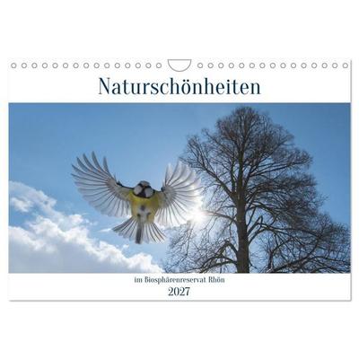 Naturschönheiten im Biosphärerenreservat Rhön (Wandkalender 2027 DIN A4 quer), CALVENDO Monatskalender