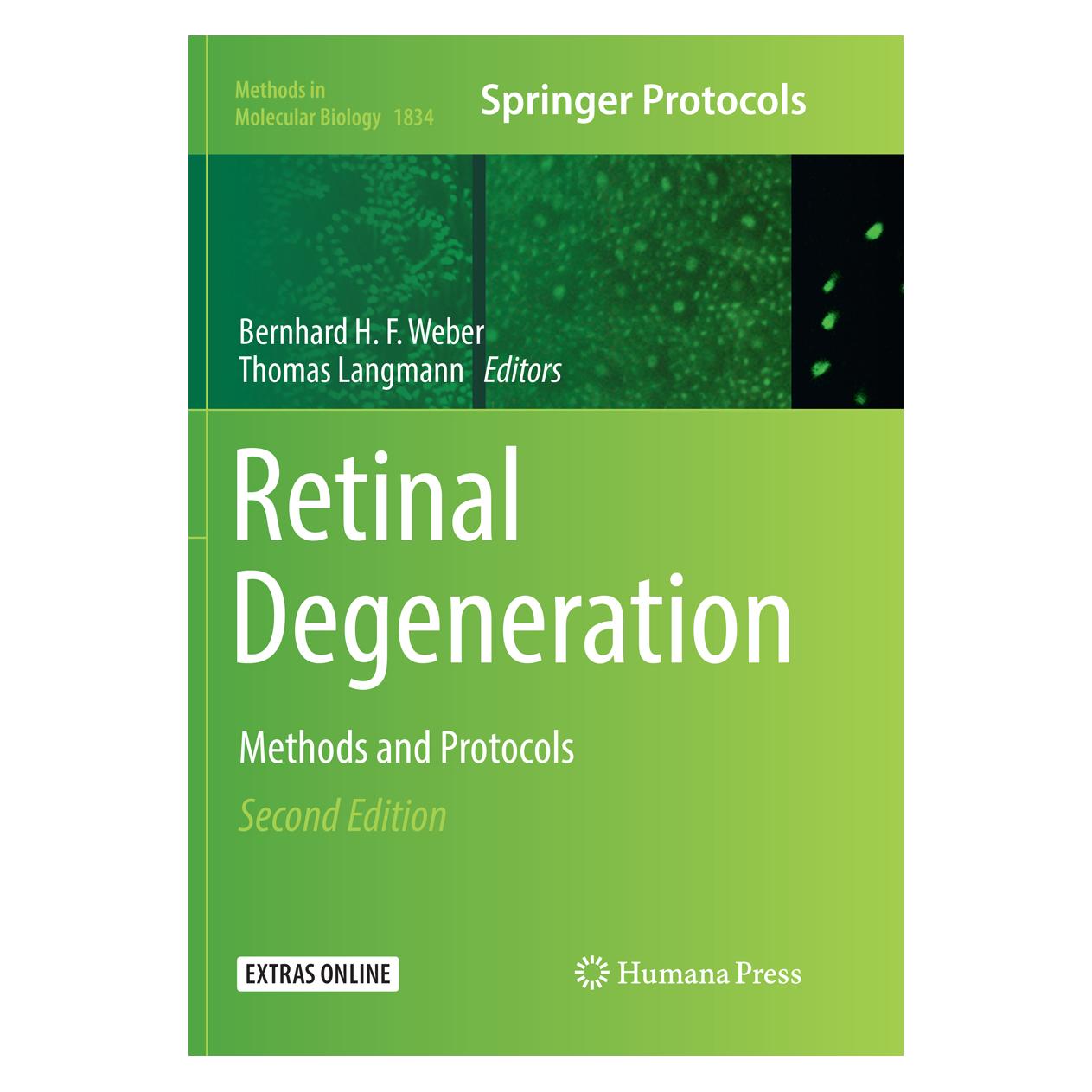 Springer Retinal Degeneration (Englisch, Softcover, Bernhard H. F. Weber, Thomas Langmann) (56112408)