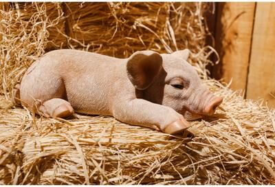 Hi-Line Gift Ltd. Pig Sleeping