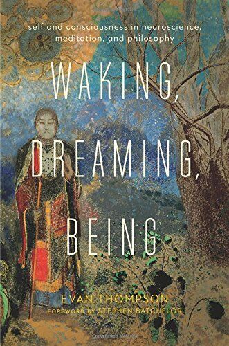 Evan Thompson - Waking, Dreaming, Being: Self and Consciousness in Neuroscience, Meditation, and Philosophy - Preis vom 16.10.2026 11:41:07 h