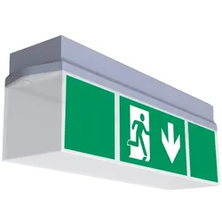 RP-Technik Sicherheitsleuchte KWID413SC-COOLIP54