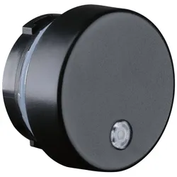 Paulmann Sensor 957.58