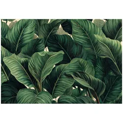 FOTOTAPETE Blätter Dschungel Grün 150x105 cm