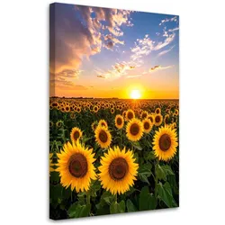 LEINWANDBILD Sonnenblumenfeld Sonnenuntergang 80x120cm