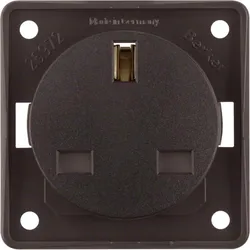 Berker 962622501 Steckdose mit SK British Standard ITG br