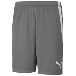 Puma teamLIGA Shorts Herren - grau - M