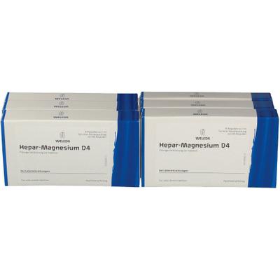 Hepar Magnesium D 4 Ampullen 48x1 ml