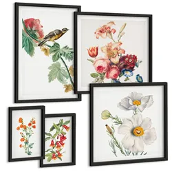 BILDER SET 5er Set - 50x50 cm & 20x30 cm & 40x60 cm Schwarzer Rahmen - Gemalte Blumen, Retro-Vogel