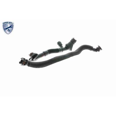 VAICO Reparatursatz, Kurbelgehäuseentlüftung EXPERT KITS + v203290 für BMW