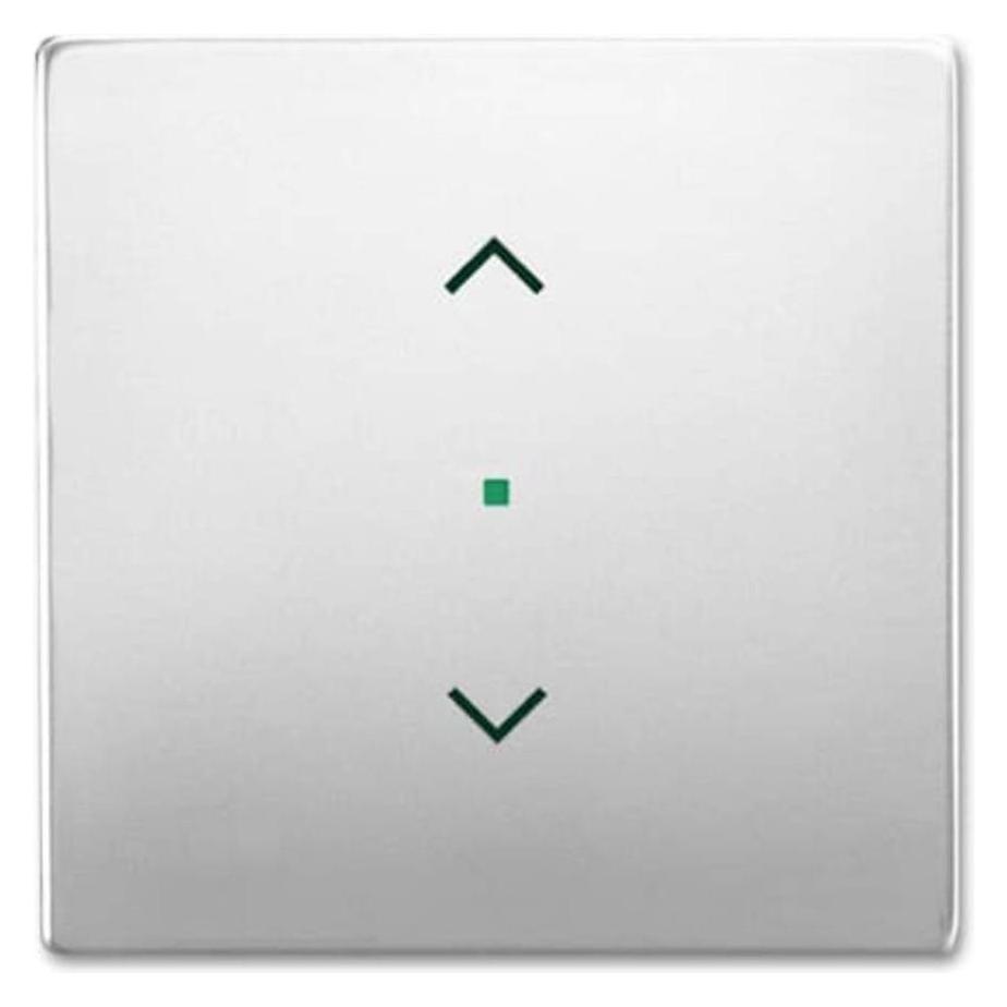 Busch-Jaeger Wippe (2CKA006220A0415)