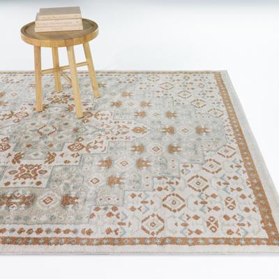 Balta Rugs Costante Transitional Tribal Area Rug