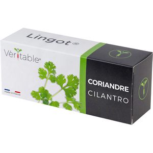 Veritable Saatpad Lingot, Koriander, mit Samen und Nährstoffen
