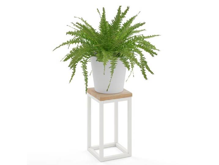 LAMO Manufaktur Support Plantes Piédéstal pour Plantes Porte-plantes Interieur Cadre Blanc Gris 30 cm