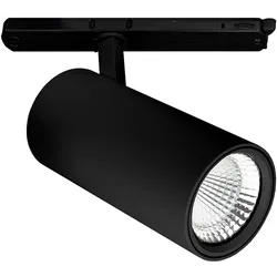 Performance in Light LED-Stromschienenstrahler 3116057