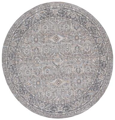 SAFAVIEH Finley Ayser Traditional Rug