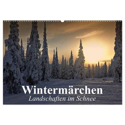 Wintermärchen Landschaften im Schnee (Wandkalender 2026 DIN A2 quer), CALVENDO Monatskalender