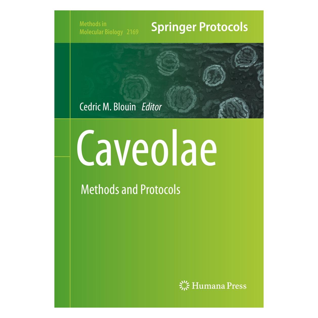 Springer Caveolae (Englisch, Hardcover, Cedric M. Blouin) (9781071607312)