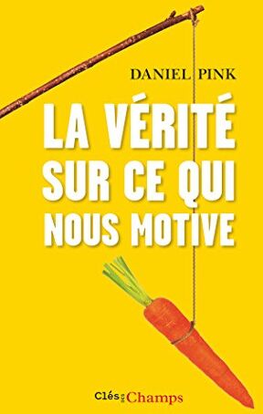 Pink, Daniel H. - La vérité sur ce qui nous motive - Preis vom 10.10.2026 11:48:34 h