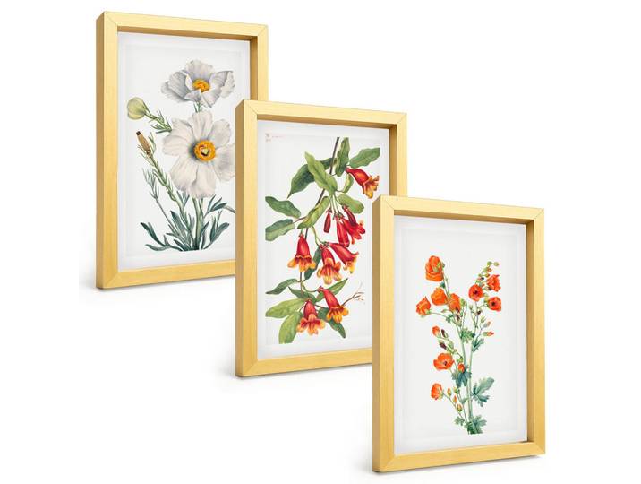 Tulup Bilder SET 3er Set - 20x30 cm Goldrahmen - Retro-Blumenarrangements, Goldfarben, Kunststoff, Rechteckig, 20x30 cm, gerahmt, Bilder & Rahmen, Bilder