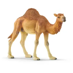 Schleich® 14832 Dromedar