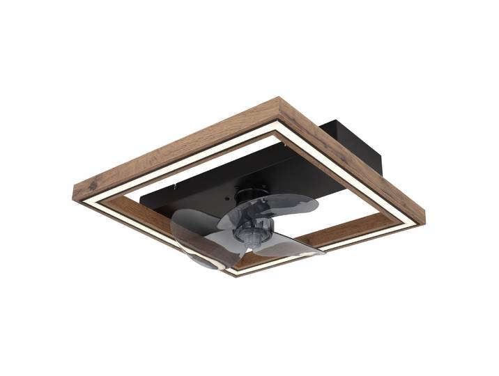 Globo Celinata Ventilateur De Plafond À Del Intégrée\, Noir Mat 2700-6500 K