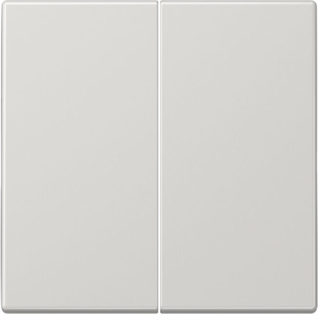 Jung Wippe lgr pour bouton-poussoir LS 995 LG (LS995LG)