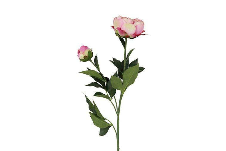 Countryfield zijden Paeonia Dian crème