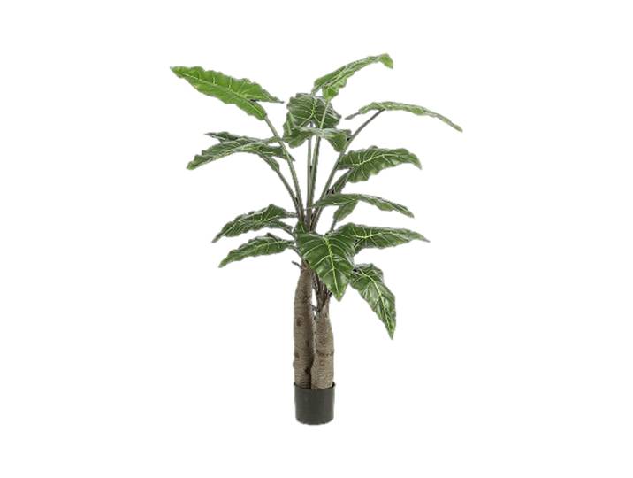 Lebensechte Kunstpflanze „Alocasia Giant Tree“, Ø 110 x 150 cm Grün Baq Design