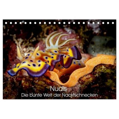 Nudis – Die bunte Welt der Nacktschnecken (Tischkalender 2027 DIN A5 quer), CALVENDO Monatskalender