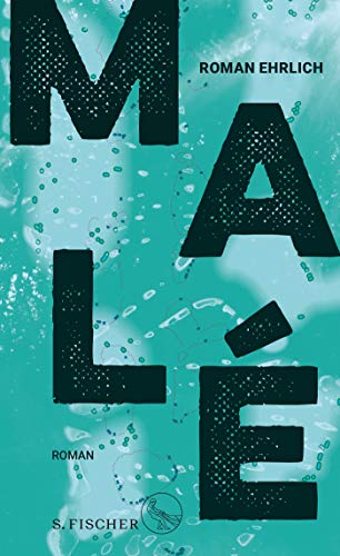 Roman Ehrlich - Malé: Roman - Preis vom 17.10.2026 19:25:27 h