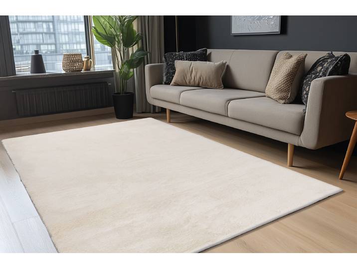 Tapis à poils longs Emotion 525 60 x 110cm Blanc/Blanc