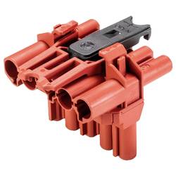Wieland Electric 92.050.3553.5 Verteiler