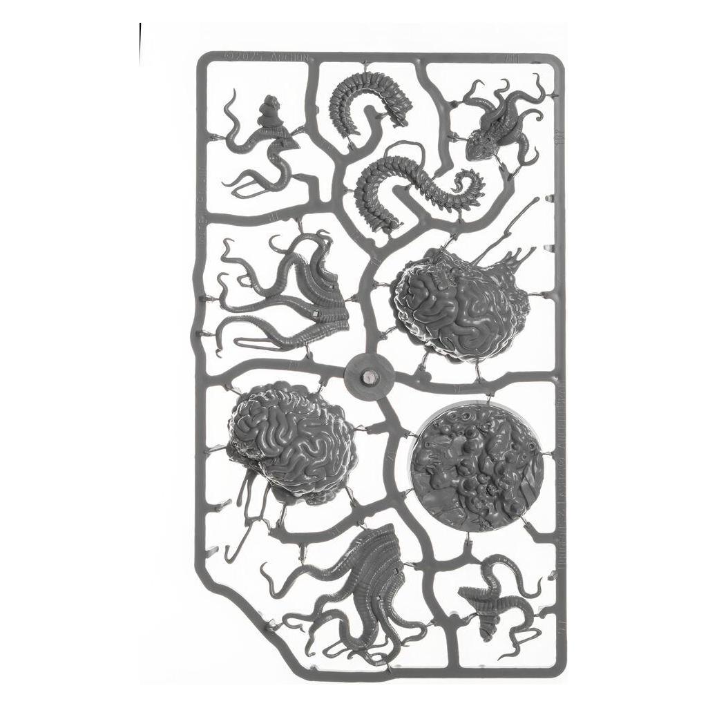 Archon Studio Ancient Brain (DNL0140)