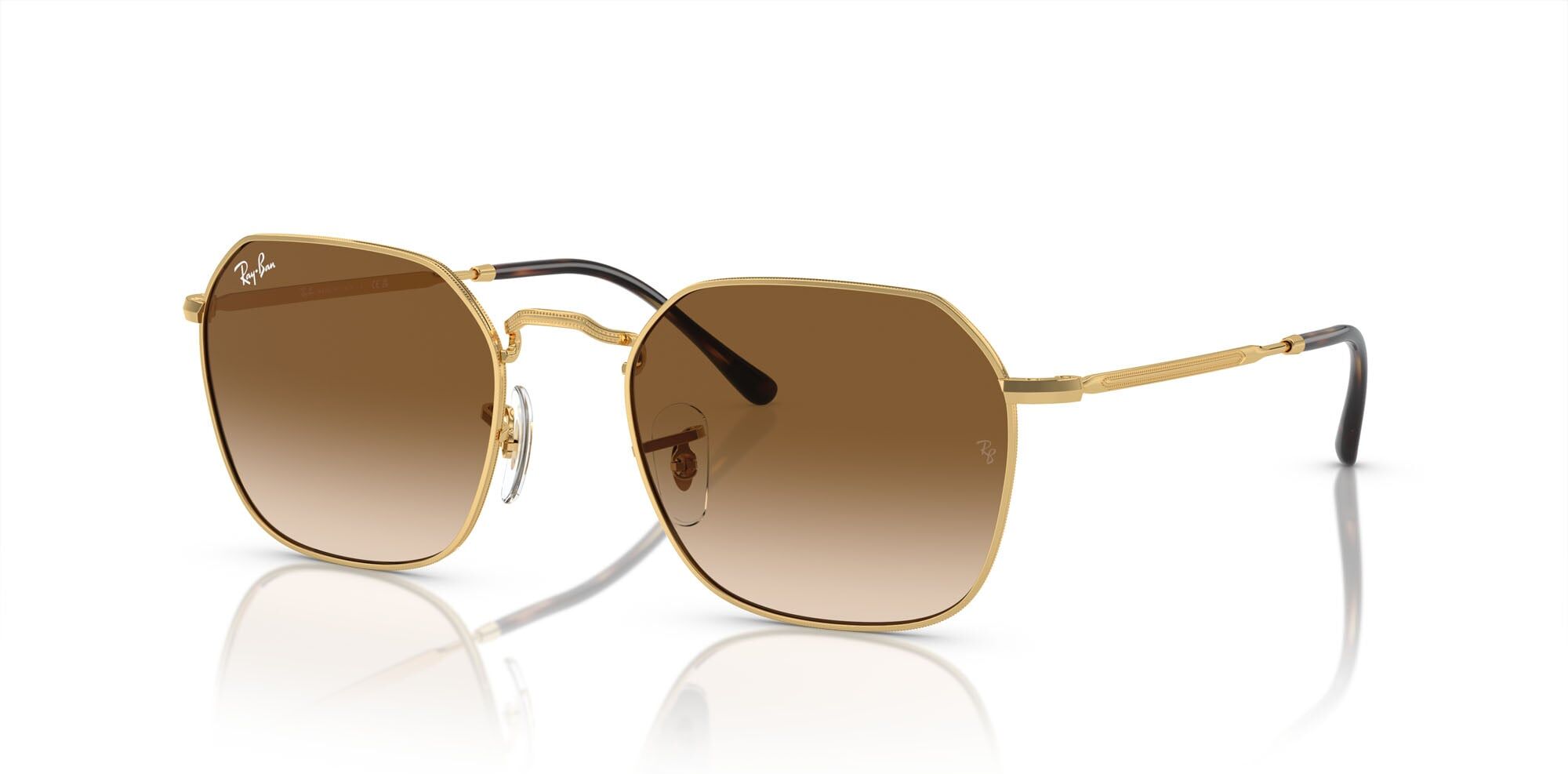 Sonnenbrille Ray-Ban Jim RB 3694 (001/51) Damen