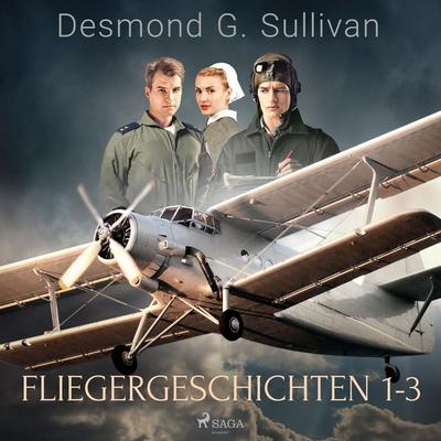 Fliegergeschichten 1-3 - Desmond G. Sullivan, Audio, 9788728210307