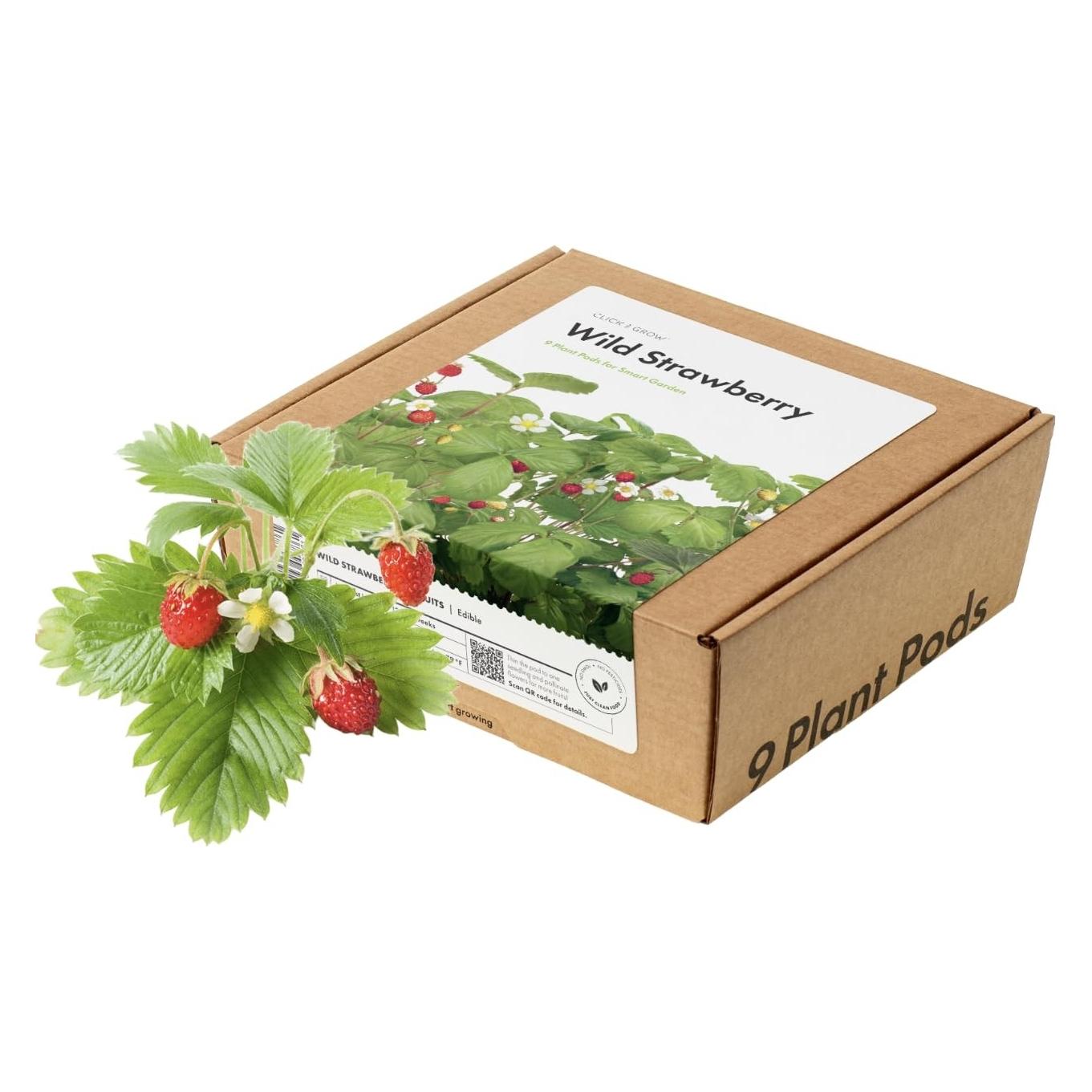 Click and Grow Wild Strawberry (Früchtesamen) (76448669)