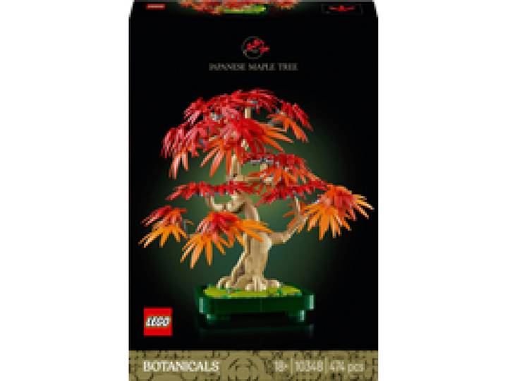 LEGO BOTANICALS Érable rouge du Japon – Arbre à bonsaï