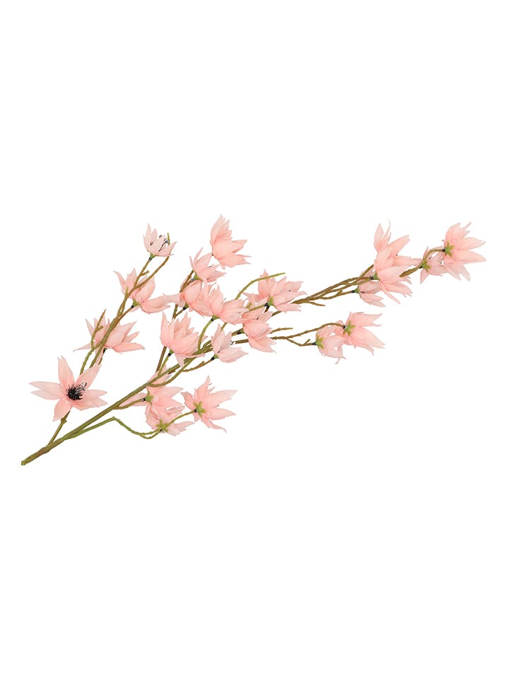 daan kromhout Dekozweig "Clematis Tak" in Rosa/ Braun - (H)63 cm - onesize