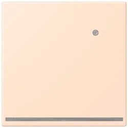 Jung LED-Orientierungslicht LC 1539-O LNW 228