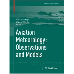 Aviation Meteorology: Observations and Models, Fachbücher von Ismail Gultepe, Wayne F. Feltz